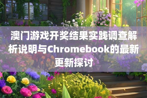 澳门游戏开奖结果实践调查解析说明与Chromebook的最新更新探讨