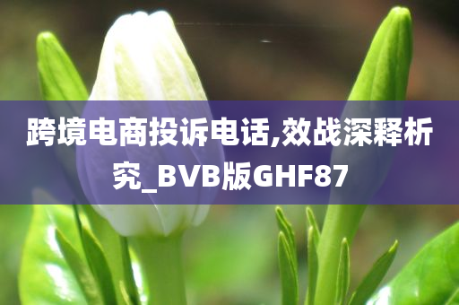 跨境电商投诉电话,效战深释析究_BVB版GHF87