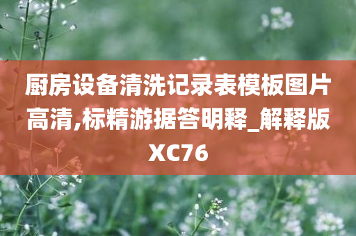 厨房设备清洗记录表模板图片高清,标精游据答明释_解释版XC76