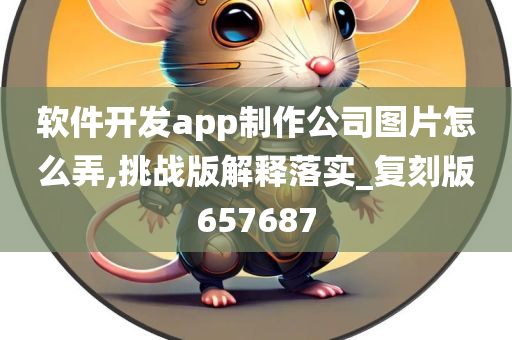 软件开发app制作公司图片怎么弄,挑战版解释落实_复刻版657687