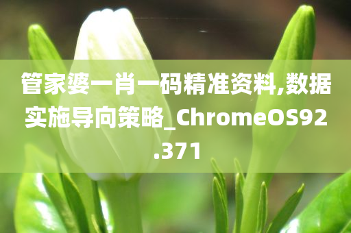 管家婆一肖一码精准资料,数据实施导向策略_ChromeOS92.371