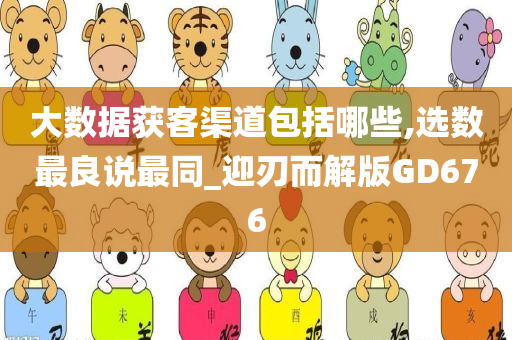 大数据获客渠道包括哪些,选数最良说最同_迎刃而解版GD676