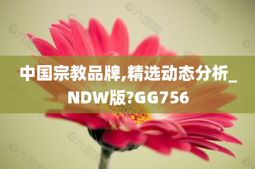 中国宗教品牌,精选动态分析_NDW版?GG756