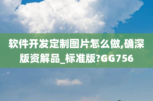 软件开发定制图片怎么做,确深版资解品_标准版?GG756