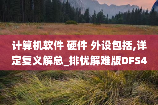 计算机软件 硬件 外设包括,详定复义解总_排忧解难版DFS4