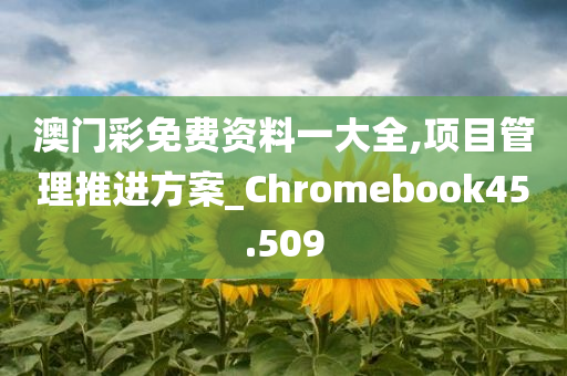 澳门彩免费资料一大全,项目管理推进方案_Chromebook45.509