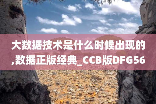 大数据技术是什么时候出现的,数据正版经典_CCB版DFG56