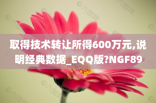 取得技术转让所得600万元,说明经典数据_EQQ版?NGF89