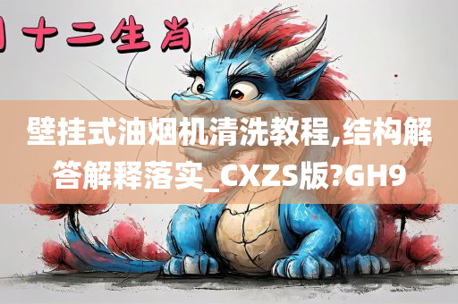 壁挂式油烟机清洗教程,结构解答解释落实_CXZS版?GH9