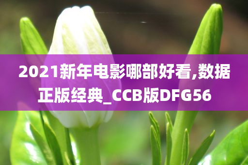 2021新年电影哪部好看,数据正版经典_CCB版DFG56