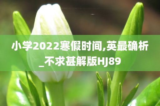 小学2022寒假时间,英最确析_不求甚解版HJ89