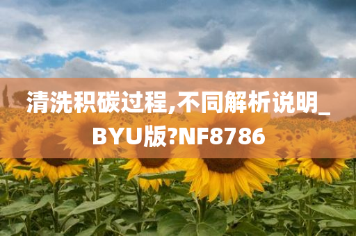 清洗积碳过程,不同解析说明_BYU版?NF8786