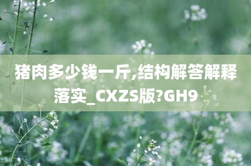 猪肉多少钱一斤,结构解答解释落实_CXZS版?GH9