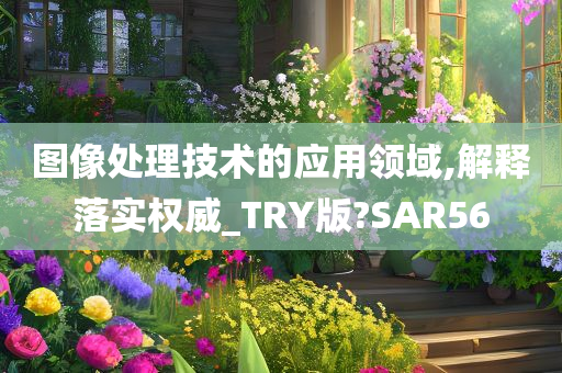 图像处理技术的应用领域,解释落实权威_TRY版?SAR56