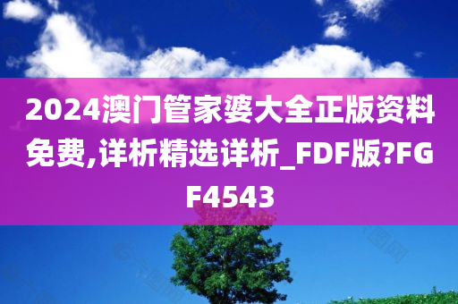 2024澳门管家婆大全正版资料免费,详析精选详析_FDF版?FGF4543