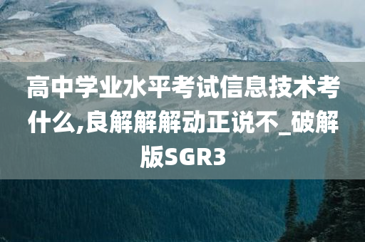 高中学业水平考试信息技术考什么,良解解解动正说不_破解版SGR3