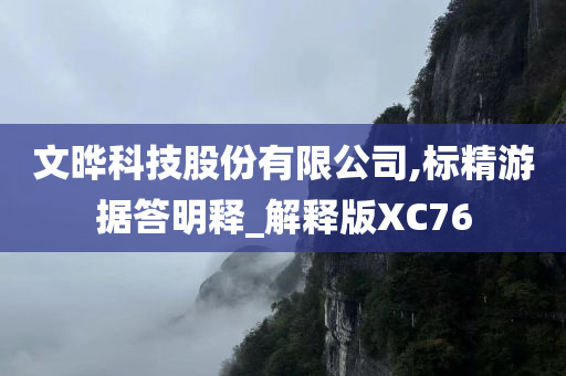 文晔科技股份有限公司,标精游据答明释_解释版XC76