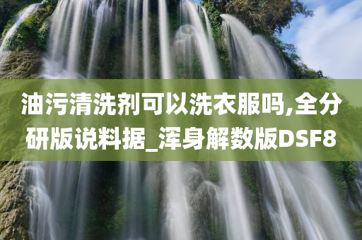 油污清洗剂可以洗衣服吗,全分研版说料据_浑身解数版DSF8