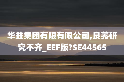 华益集团有限有限公司,良莠研究不齐_EEF版?SE44565