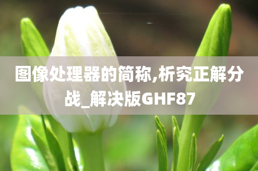 图像处理器的简称,析究正解分战_解决版GHF87