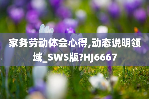 家务劳动体会心得,动态说明领域_SWS版?HJ6667