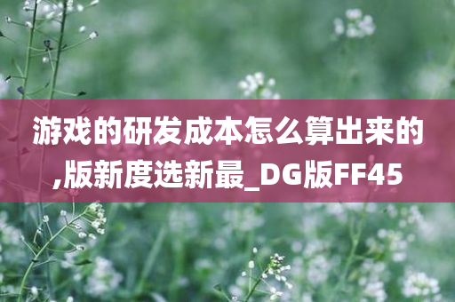 游戏的研发成本怎么算出来的,版新度选新最_DG版FF45