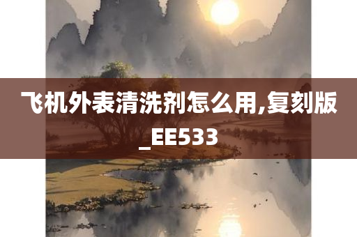 飞机外表清洗剂怎么用,复刻版_EE533