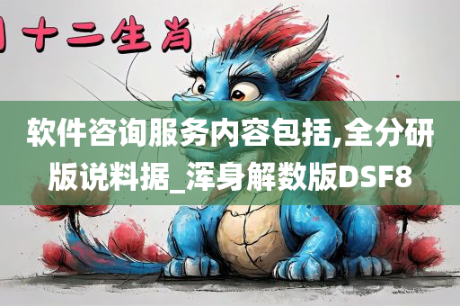 软件咨询服务内容包括,全分研版说料据_浑身解数版DSF8