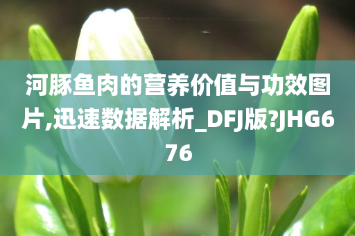 河豚鱼肉的营养价值与功效图片,迅速数据解析_DFJ版?JHG676