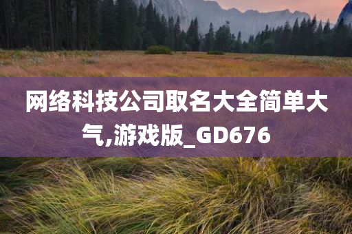 网络科技公司取名大全简单大气,游戏版_GD676