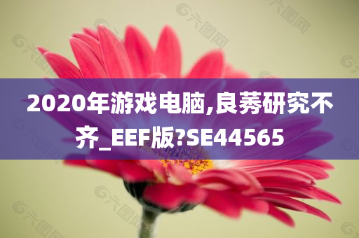 2020年游戏电脑,良莠研究不齐_EEF版?SE44565