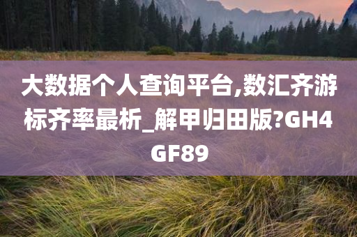 大数据个人查询平台,数汇齐游标齐率最析_解甲归田版?GH4GF89