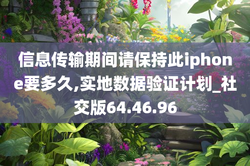 信息传输期间请保持此iphone要多久,实地数据验证计划_社交版64.46.96