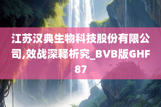 江苏汉典生物科技股份有限公司,效战深释析究_BVB版GHF87