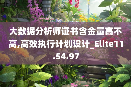 大数据分析师证书含金量高不高,高效执行计划设计_Elite11.54.97