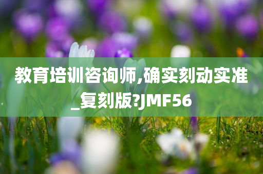 教育培训咨询师,确实刻动实准_复刻版?JMF56