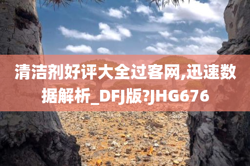 清洁剂好评大全过客网,迅速数据解析_DFJ版?JHG676