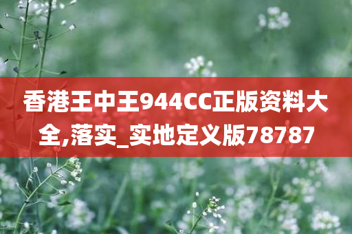 香港王中王944CC正版资料大全,落实_实地定义版78787