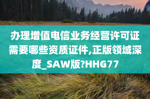 办理增值电信业务经营许可证需要哪些资质证件,正版领域深度_SAW版?HHG77