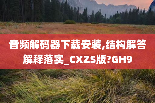 音频解码器下载安装,结构解答解释落实_CXZS版?GH9