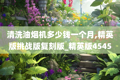 清洗油烟机多少钱一个月,精英版挑战版复刻版_精英版4545