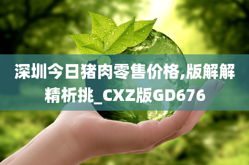 深圳今日猪肉零售价格,版解解精析挑_CXZ版GD676