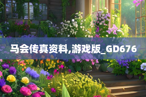 马会传真资料,游戏版_GD676