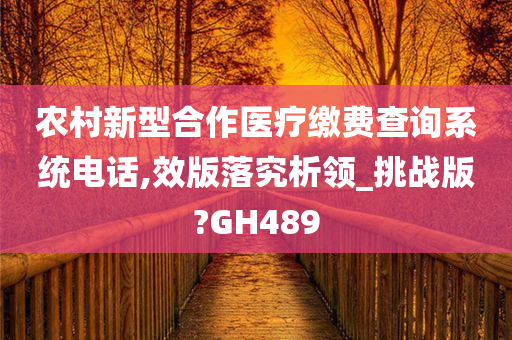 农村新型合作医疗缴费查询系统电话,效版落究析领_挑战版?GH489