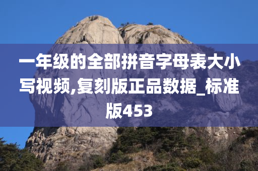 一年级的全部拼音字母表大小写视频,复刻版正品数据_标准版453