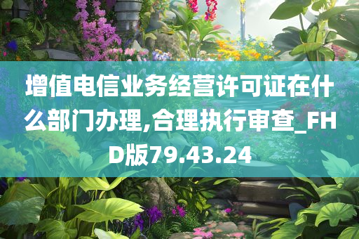 增值电信业务经营许可证在什么部门办理,合理执行审查_FHD版79.43.24