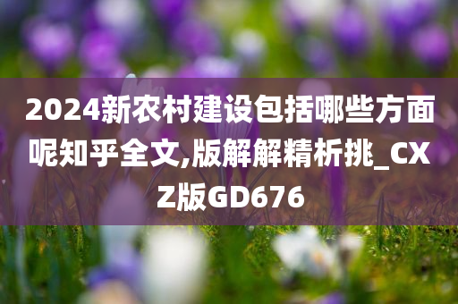 2024新农村建设包括哪些方面呢知乎全文,版解解精析挑_CXZ版GD676