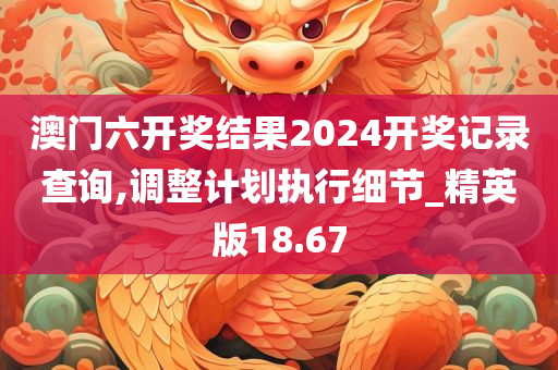 澳门六开奖结果2024开奖记录查询,调整计划执行细节_精英版18.67