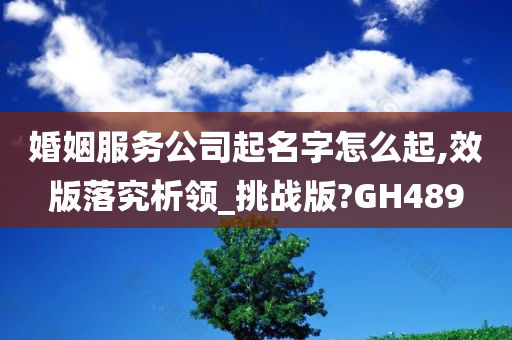 婚姻服务公司起名字怎么起,效版落究析领_挑战版?GH489