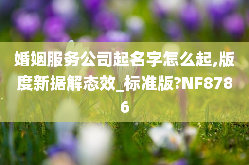 婚姻服务公司起名字怎么起,版度新据解态效_标准版?NF8786